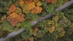 Where to spot brilliant colours after 'false autumn' spoils some leaf displays