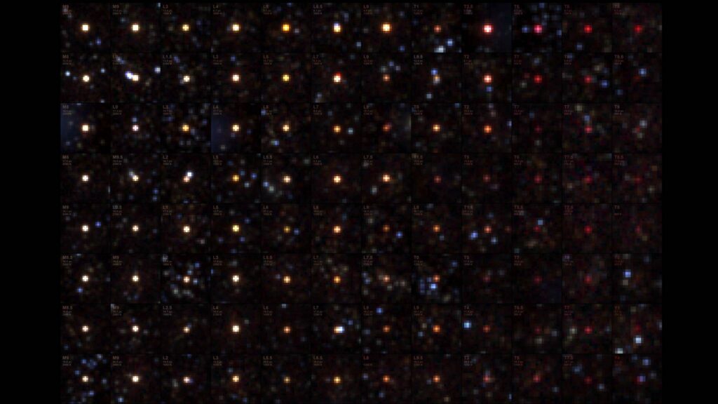 NASA’s SPHEREx Telescope Sees Menagerie of Brown Dwarfs