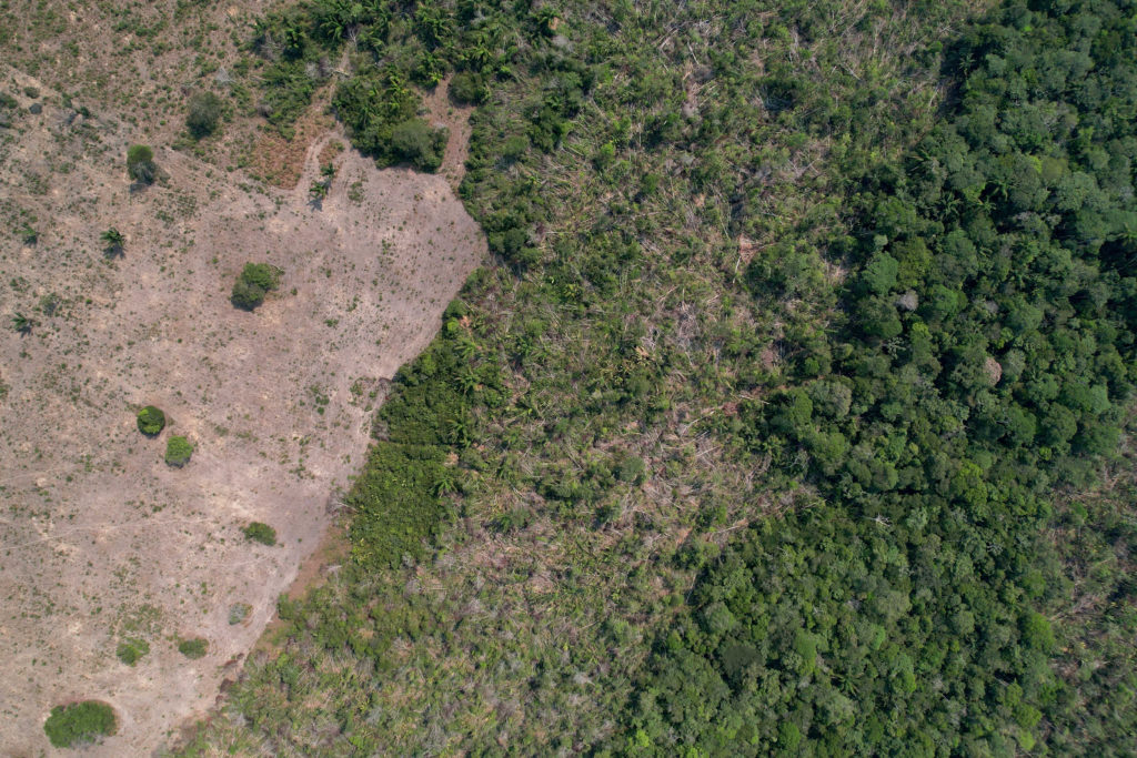 Criminal networks threaten the Amazon. Indigenous leaders want the UN to act