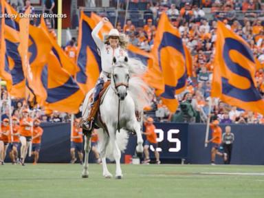 WATCH:  Meet the Denver Broncos’ real-life equine ambassador