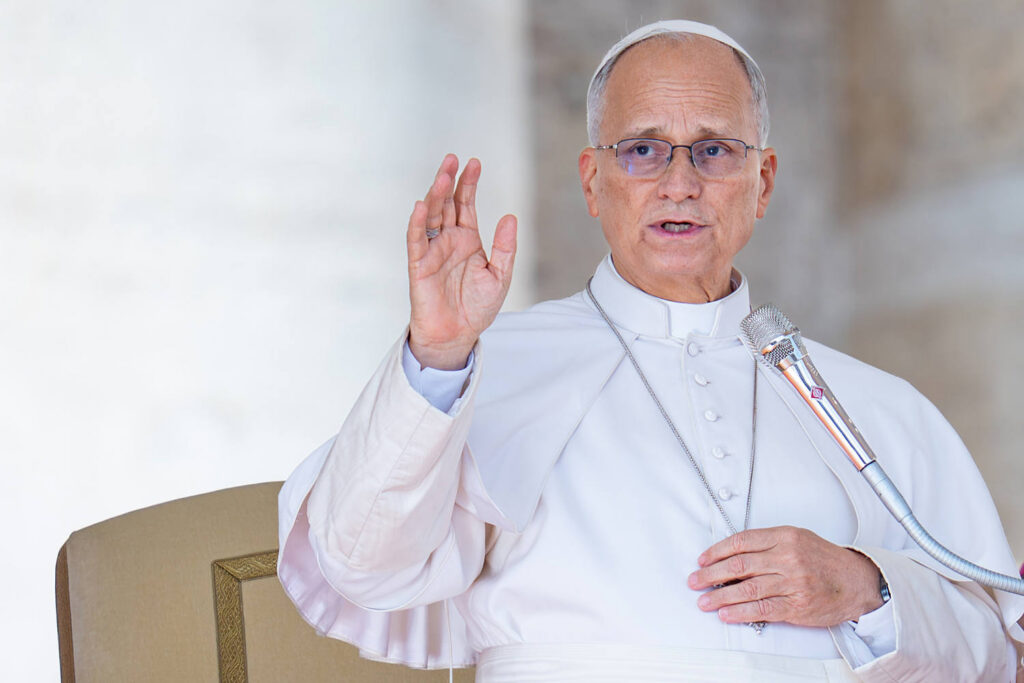 Pope Leo requires no further treatment after lung surgery, doctors say