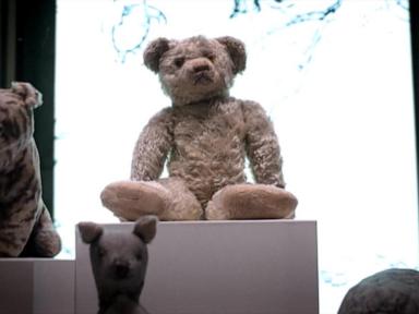 WATCH:  Controversy brews over home of Winnie the Pooh