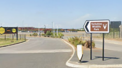 'Serious incident' at tiger enclosure closes park