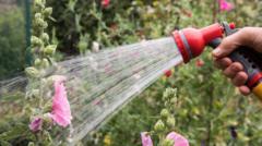 Severe drought declared and hosepipe bans in force – is your area affected?