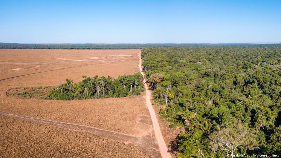 Brazil's elections matter for the planet. This is why.