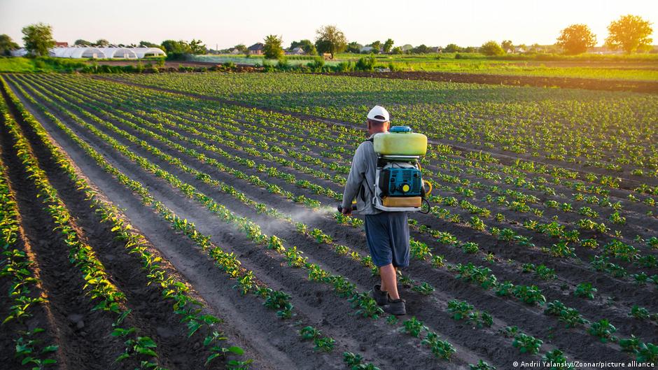 EU moves to loosen rules on pesticide use, as experts sound the alarm