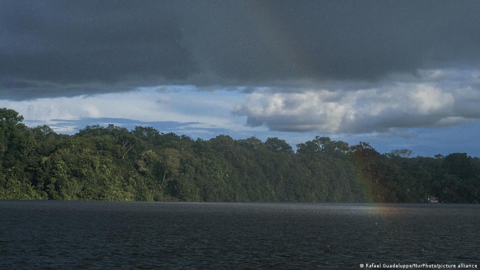 Brazil: Amazon deforestation lowest in nearly 40 years