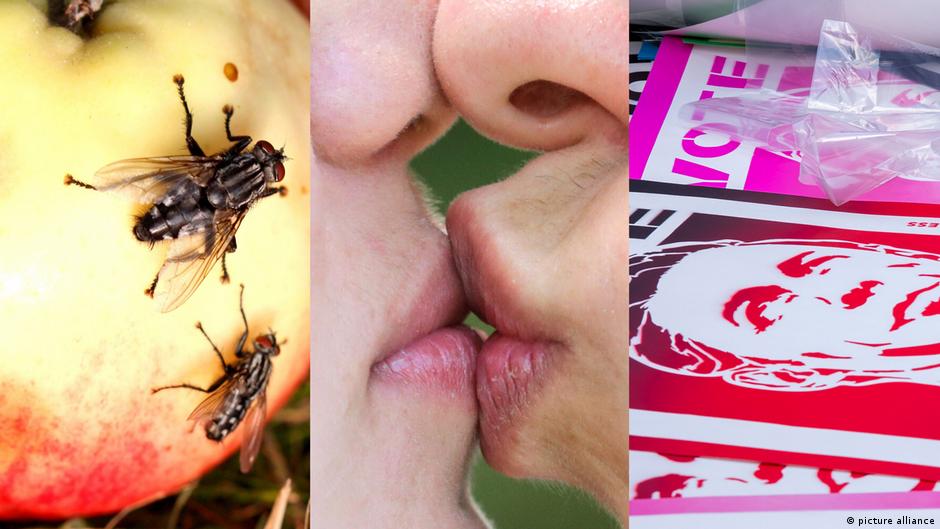 From rotten food to political opponents: Researchers explore how disgust relates to our beliefs — and why the connection is complicated
