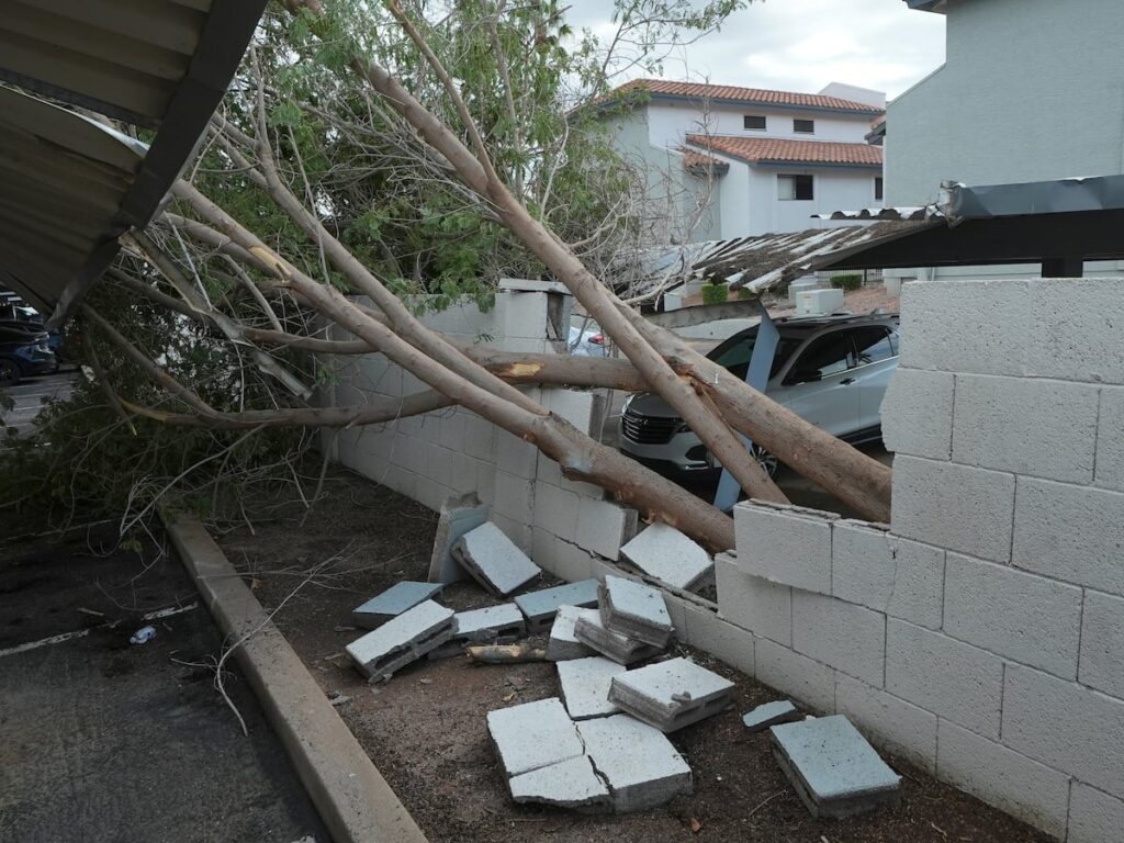 Violent Arizona storms bring possible tornado, toppled trees and golf ball-size hail