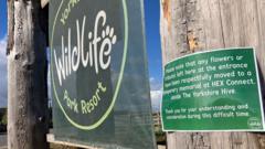 Wildlife park reopens after man killed by tiger