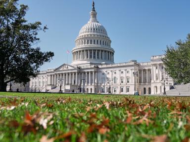 Control of Congress is up for grabs. What's the math for Democrats and Republicans?