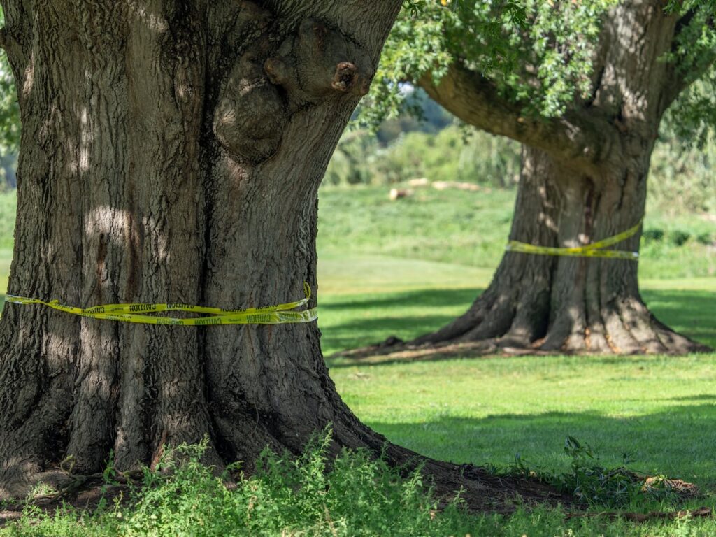 Federal judge orders Trump administration to halt work on historic DC golf course until Oct. 26