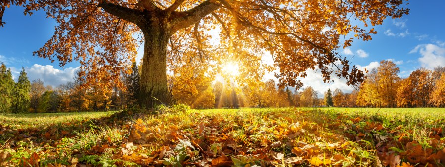 Warmer temperatures return to the Ohio Valley before changes return this weekend