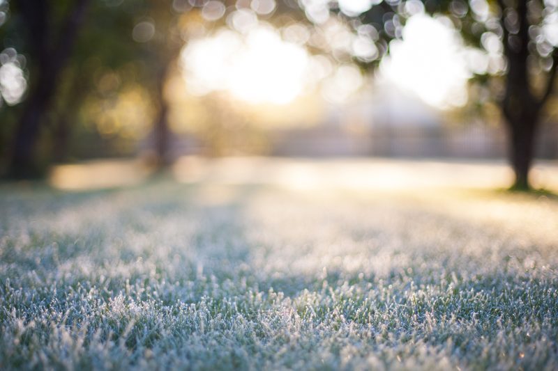 Ohio Valley's first frost of the season this weekend