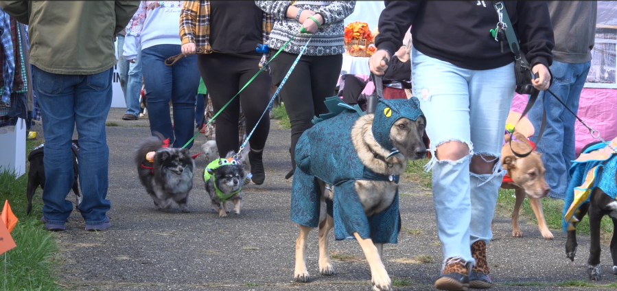 Canine Fall Fest held at David Lucas Dog Park in Belmont County