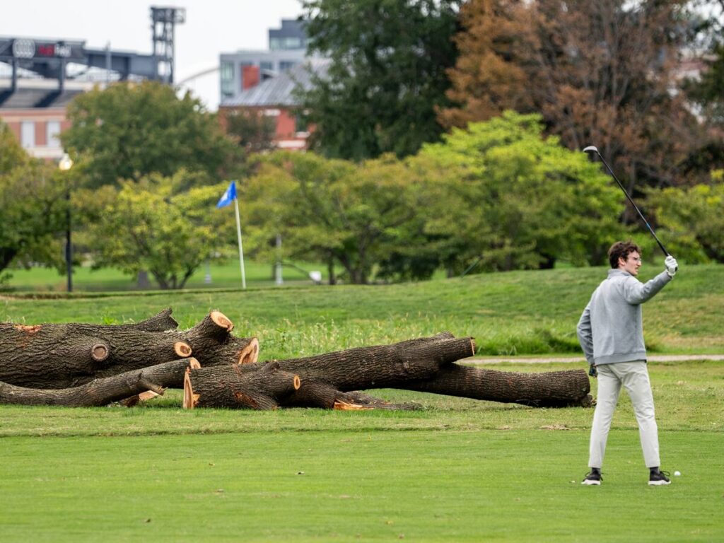 Park service could remove more than 500 trees at historic golf course Trump wants to redesign