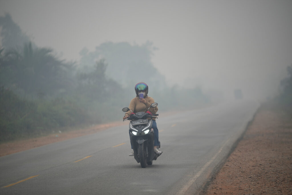 Wildfires threaten Indonesia's orangutans as rescuers find injured animals