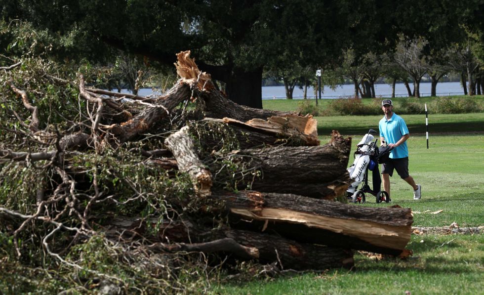 Shaken Trump DOJ begs to ditch judge who grilled officials over razed golf course trees