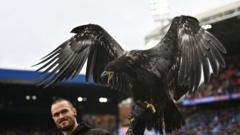 Crystal Palace urged to retire bald eagle mascot