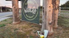 Wildlife park closed for third day after tiger attack