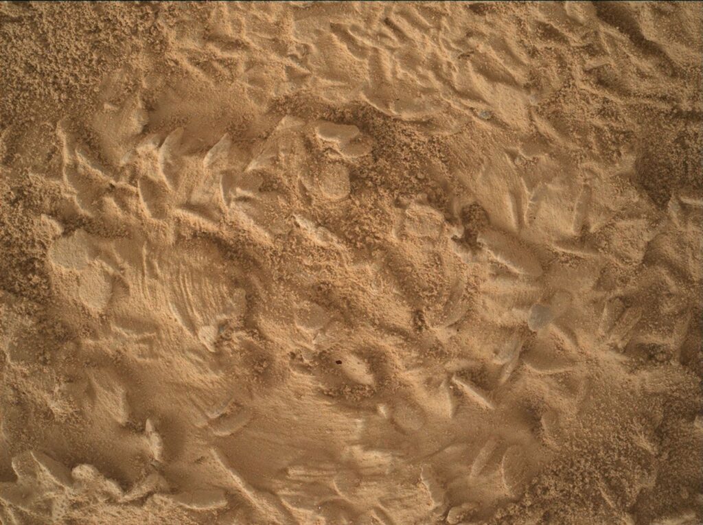 Curiosity Blog, Sols 5043-5049: Preparing to Drill at ‘Nazca’