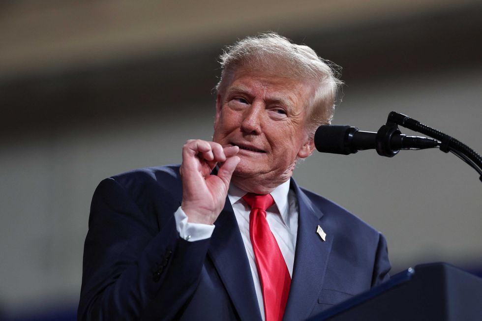 'I shouldn’t say that': Trump makes startling admission about Georgia if his pick loses