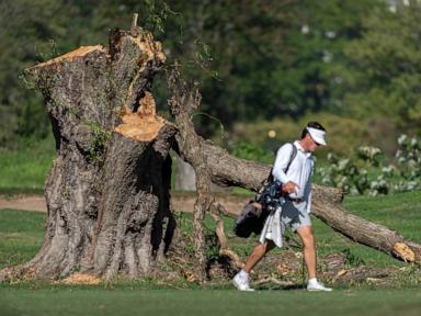 Judge explodes at Trump admin lawyers after trees felled at DC golf course