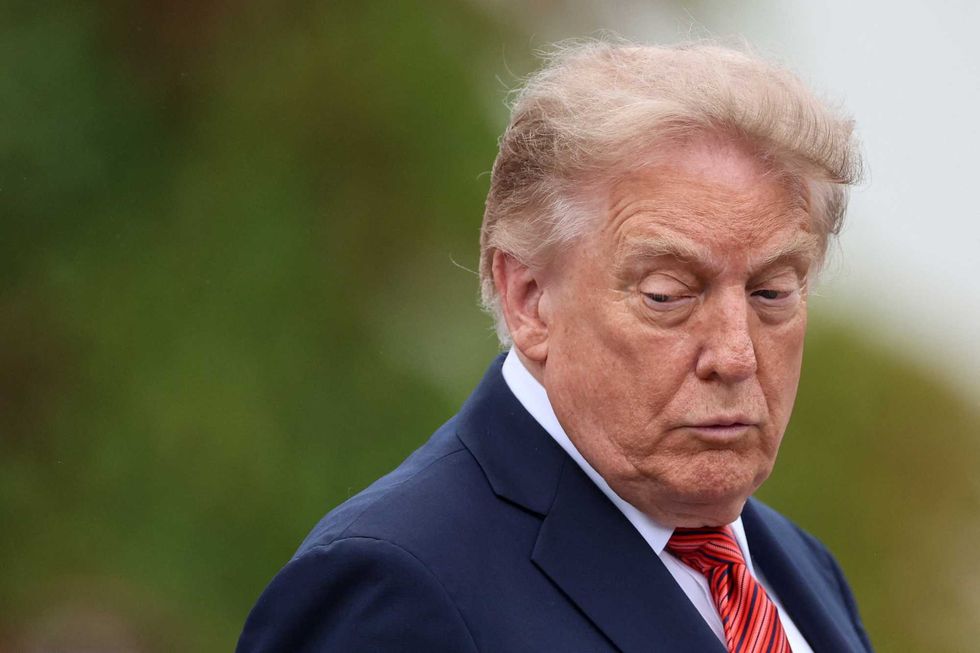 Trump dangles $1 million bounty for voter fraud tips days before midterms