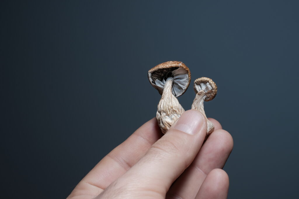 New human data hints at psychedelics' potential to combat inflammation