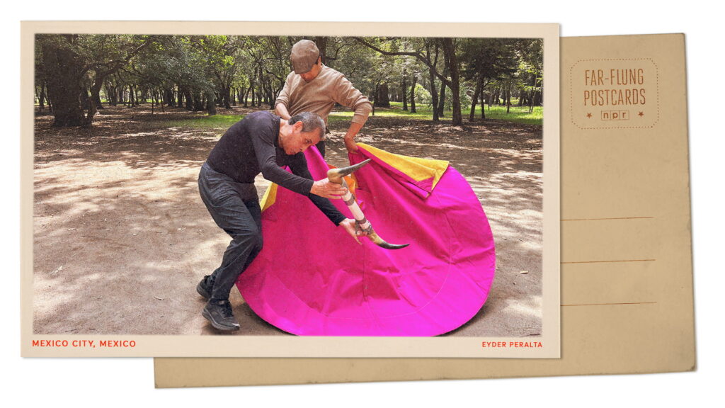 Greetings from Mexico City, where a bullfighting ban doesn't stop this matador training