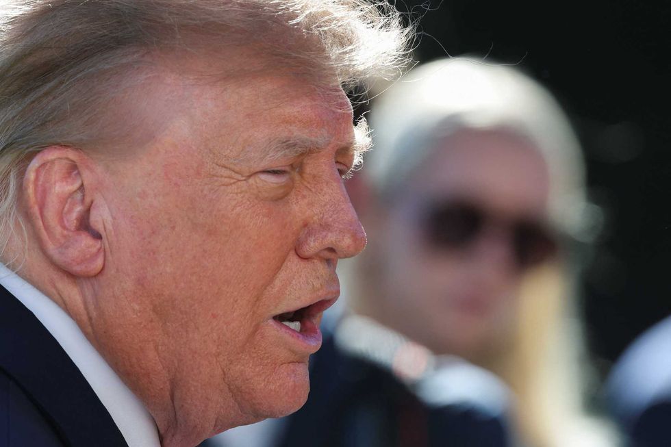 ‘Vociferous’ Trump fan ensnared in president’s own voter fraud crackdown: report