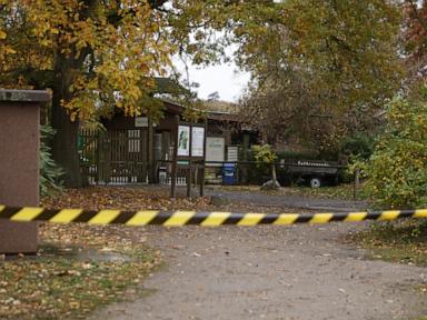 An 8-year-old girl was attacked by a wolf in a German zoo